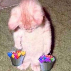 Meet your Posher, Simone